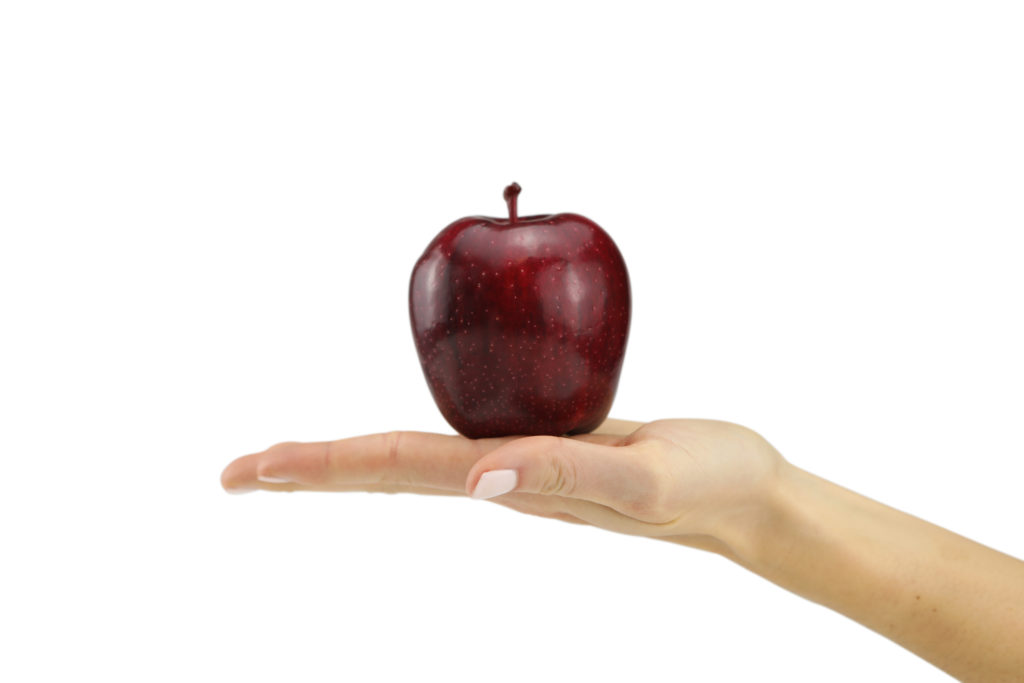 Hand model product photo on white background of hand holding a red apple