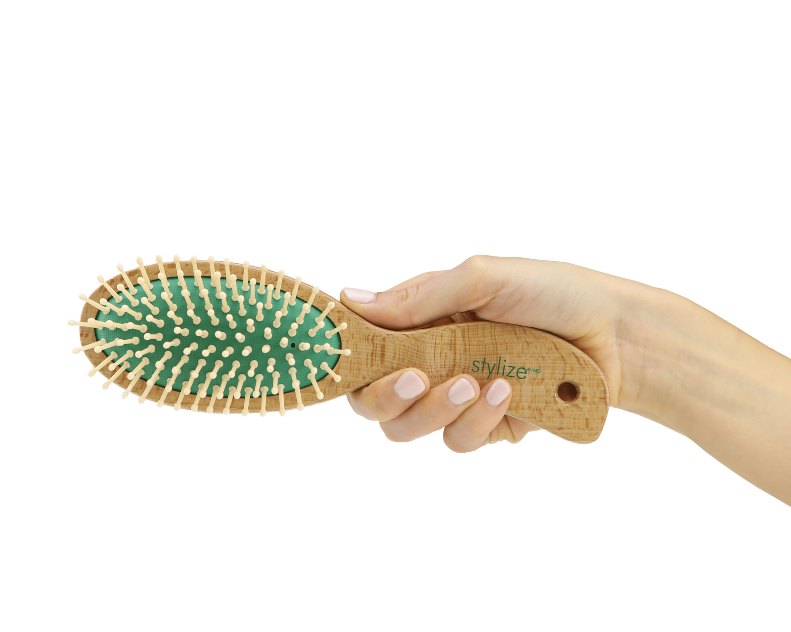 Hand model product photo on transparent background of hand holding a green hair brush